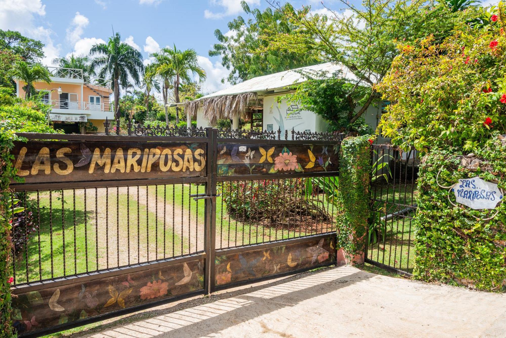 Las Mariposas Las Galeras Zewnętrze zdjęcie
