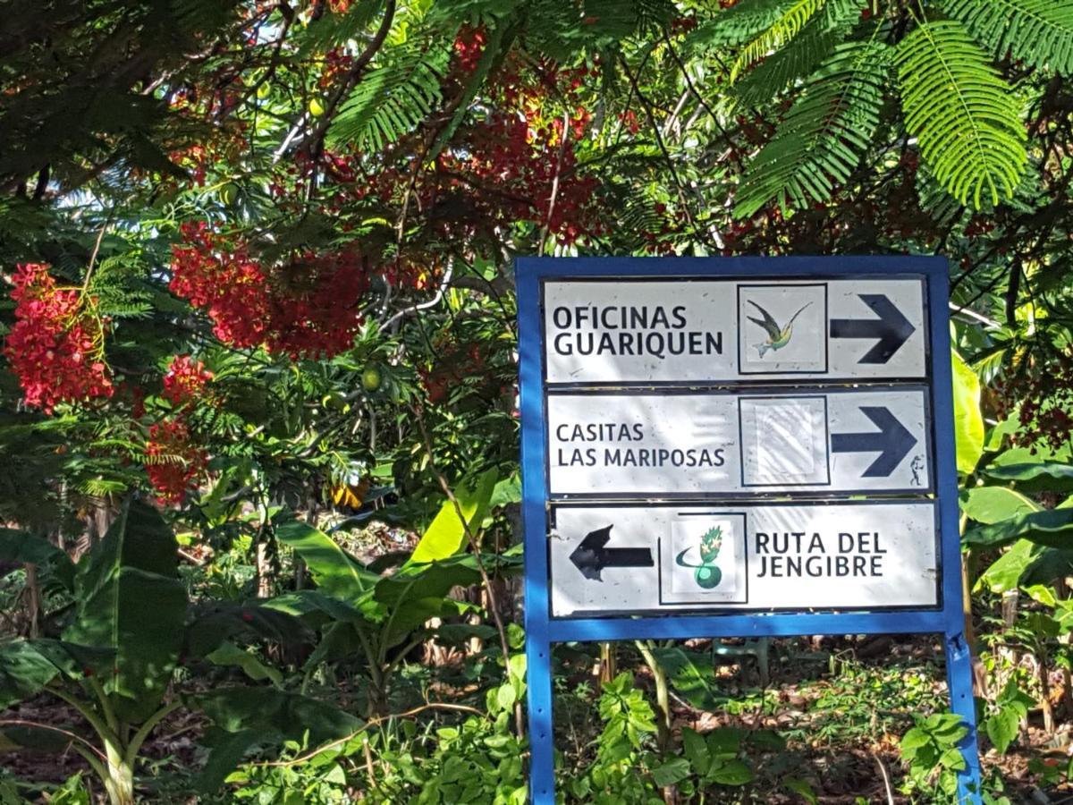 Las Mariposas Las Galeras Zewnętrze zdjęcie